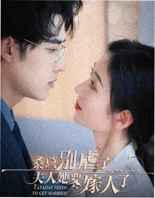 午后三点的猫 封面
